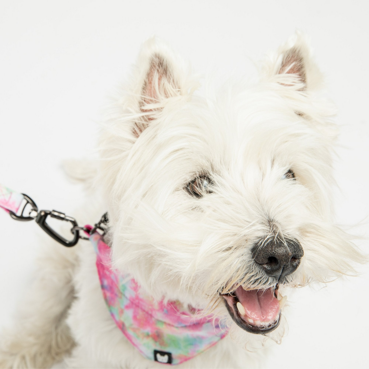 Poplin Dog Bandana Collar - Pink Tie Dye