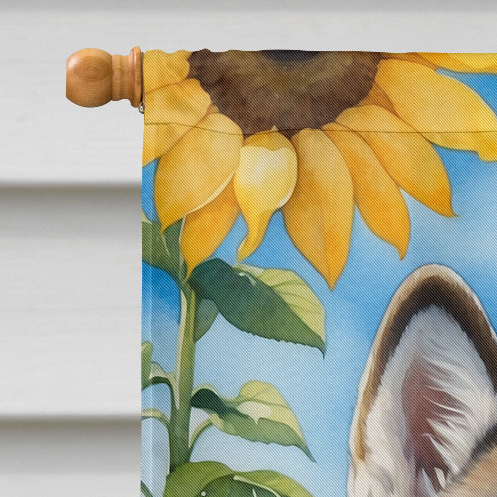 Alaskan Malamute in Sunflowers House Flag