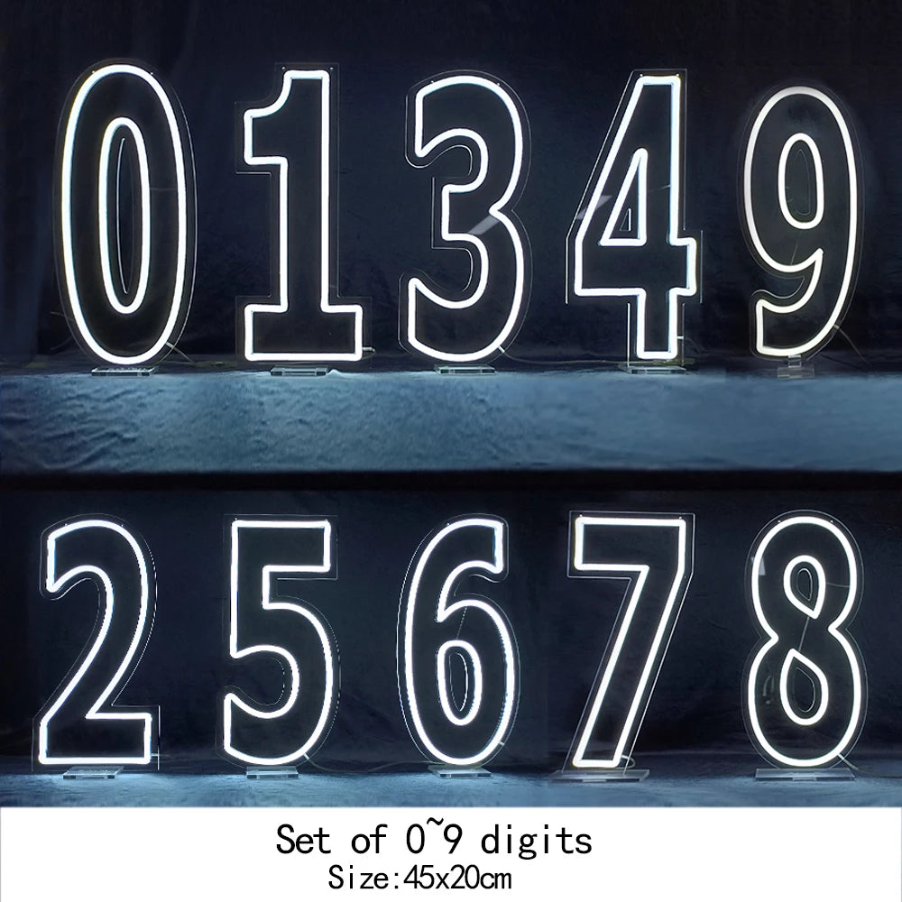 WELTIG Neon Number Signs (0-9) – USB Powered for Birthday Home Personalized Party Decor with Dimmer