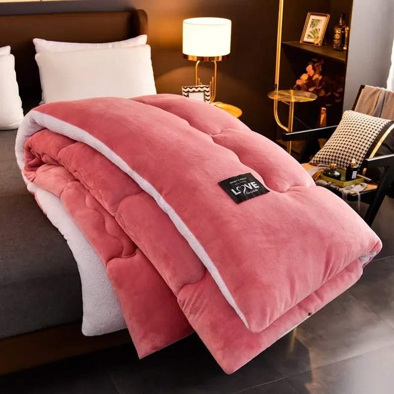 New Super Warm Lamb Wool Quilt Winter Thickened Cotton Quilt Warm Cotton Double sided Velvet Soft Extra Large Blanket